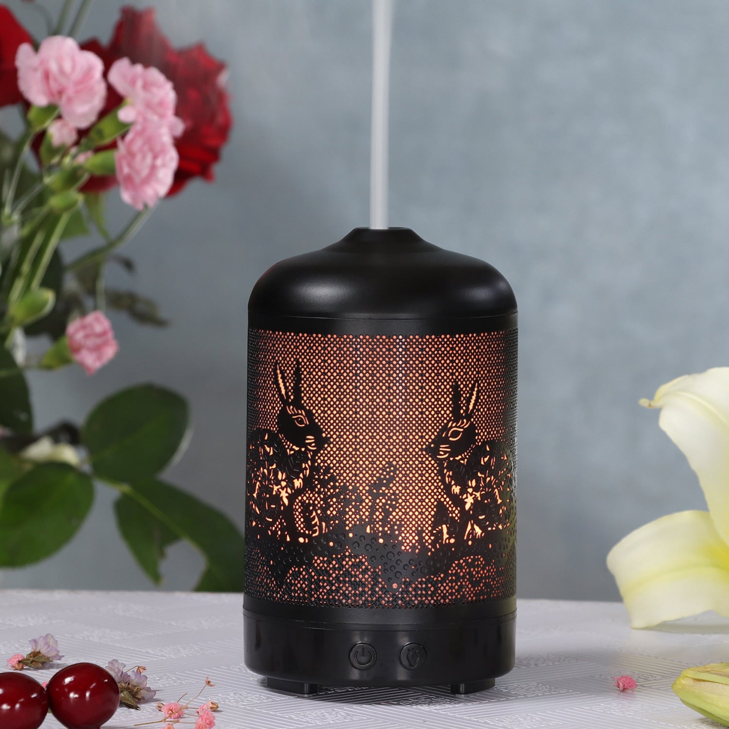 Iron art translucent humidifier