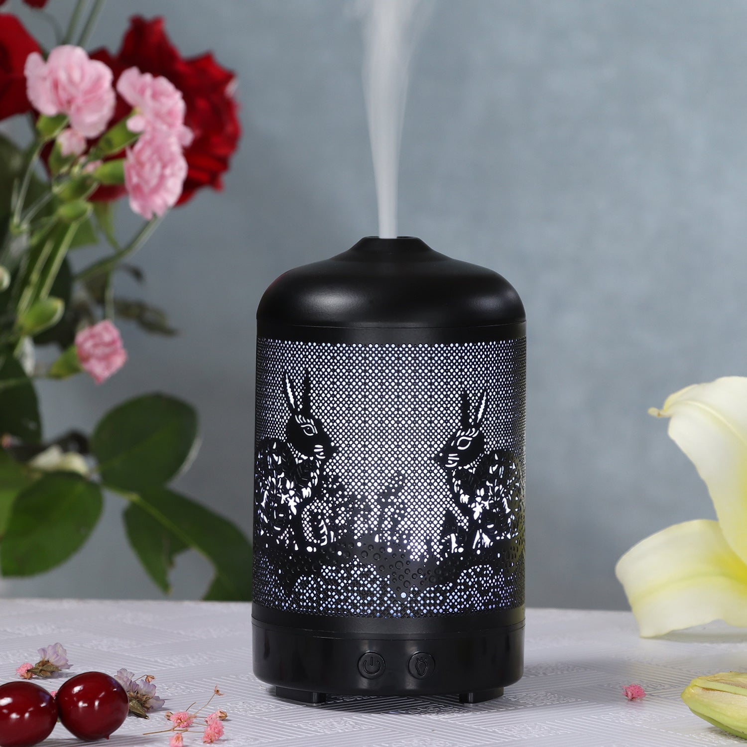 Iron art translucent humidifier