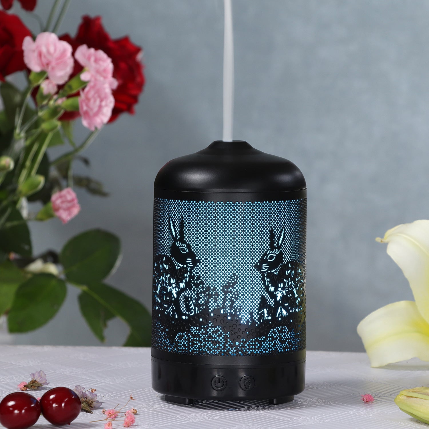 Iron art translucent humidifier